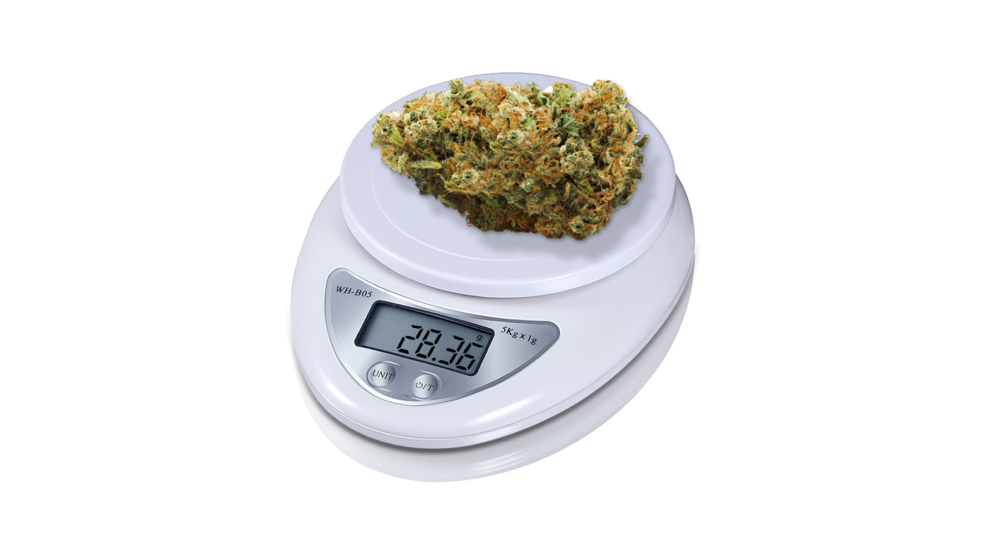 Scale showing an ounce of marijuana